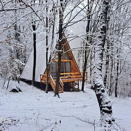 Cabanaaframe Curtea de Argeş Extérieur photo