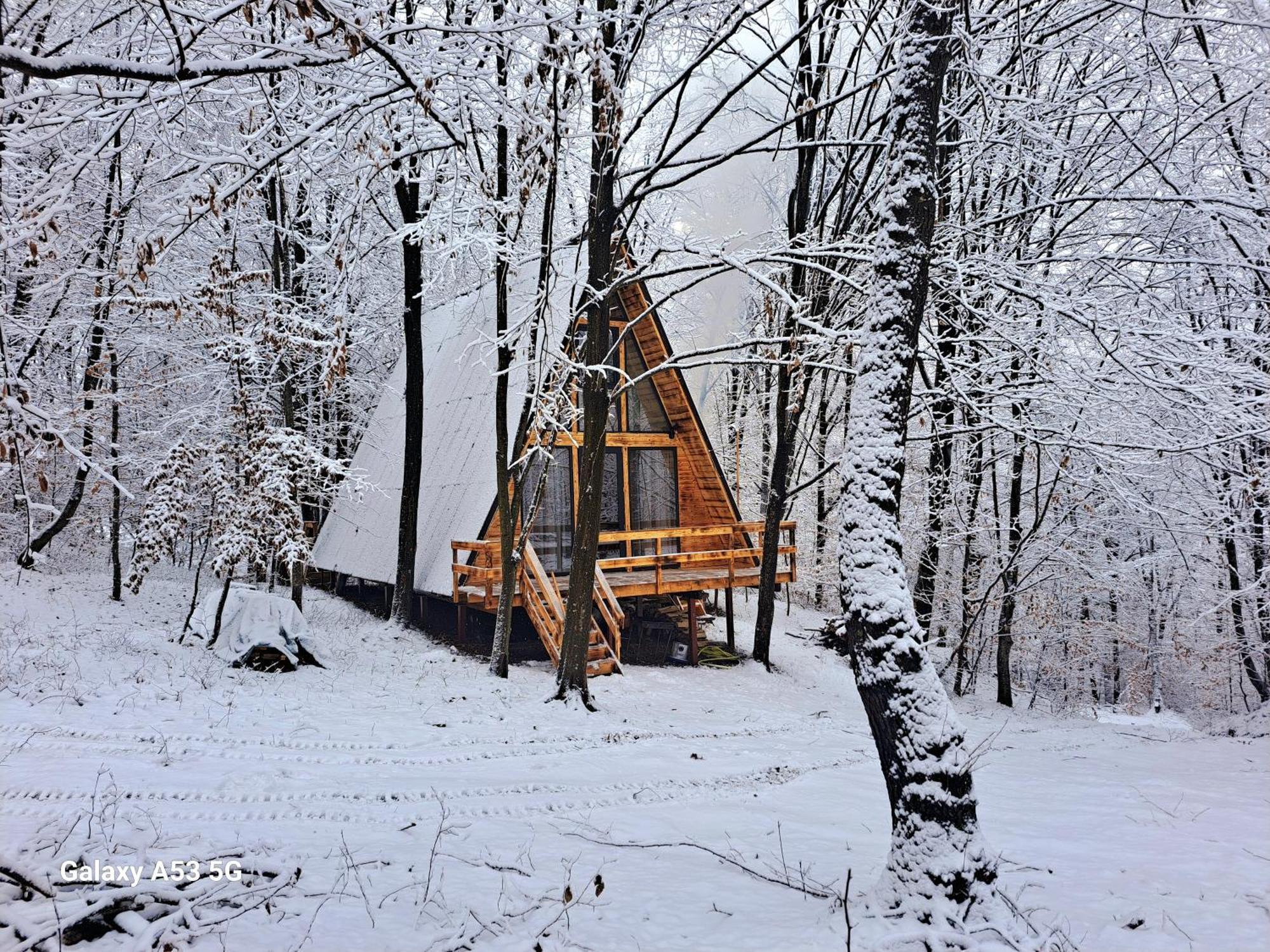 Cabanaaframe Curtea de Argeş Extérieur photo