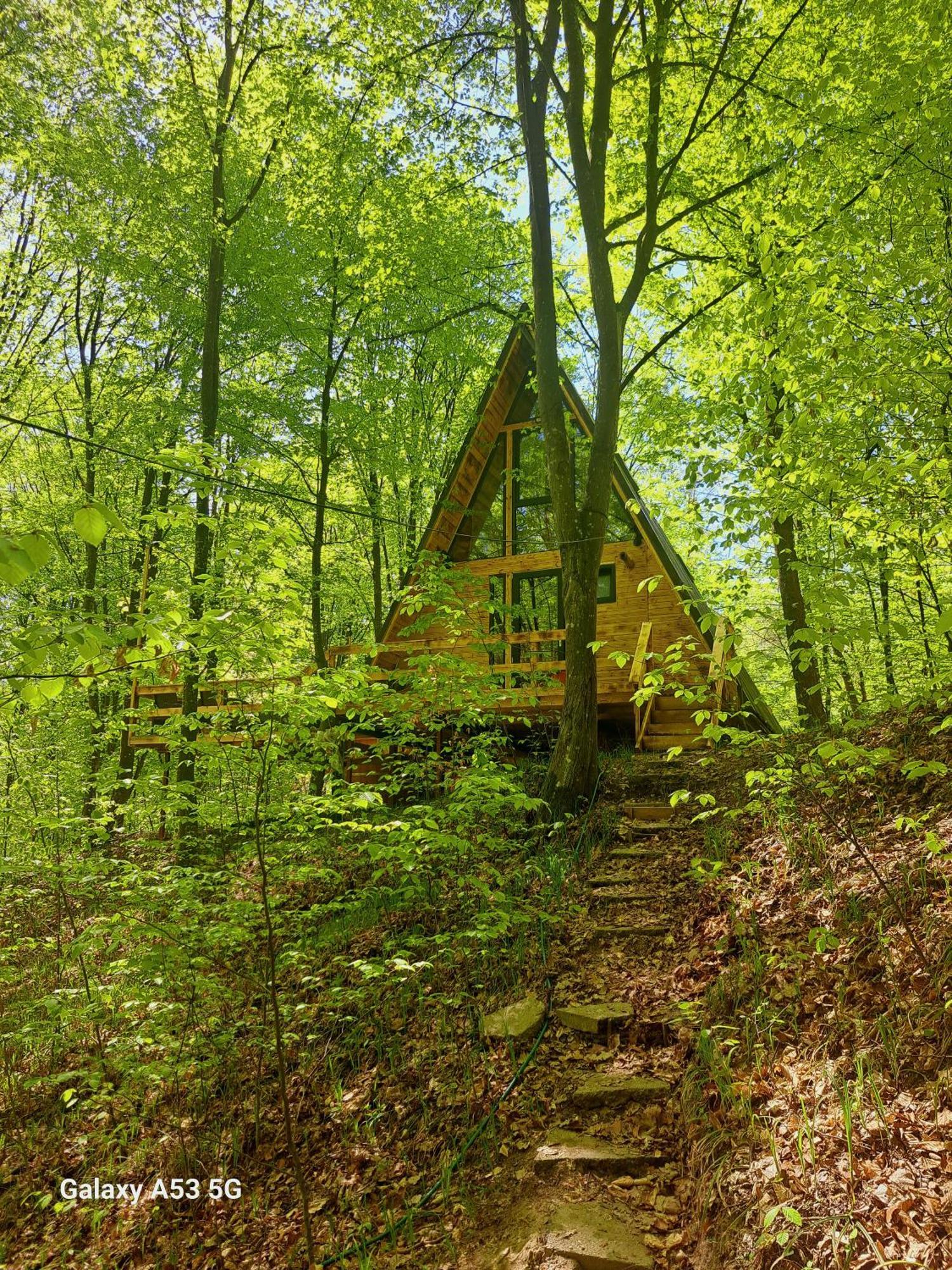 Cabanaaframe Curtea de Argeş Extérieur photo