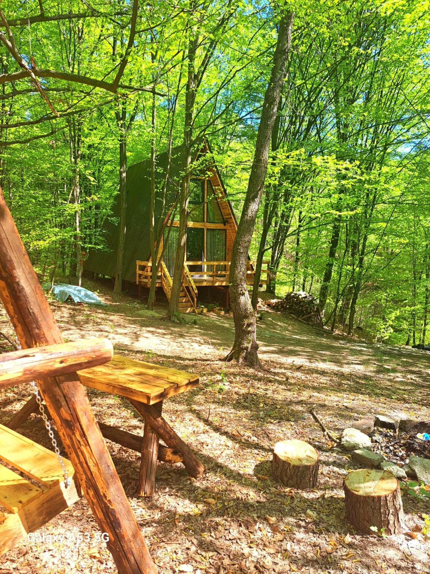 Cabanaaframe Curtea de Argeş Extérieur photo