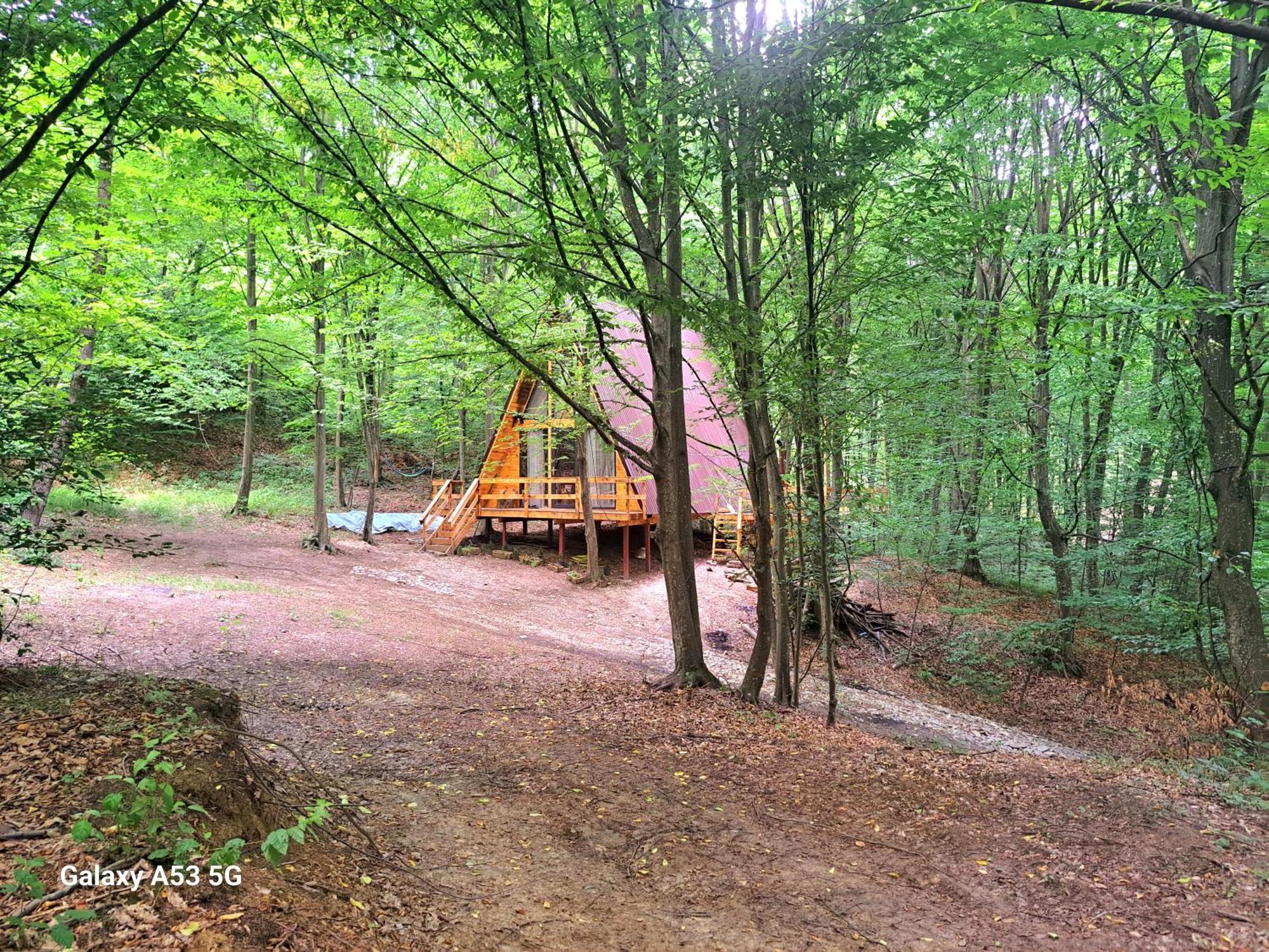Cabanaaframe Curtea de Argeş Extérieur photo